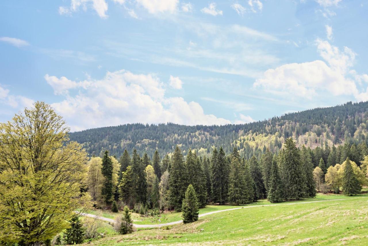 Apartment Kaiserchalet Hoechenschwand